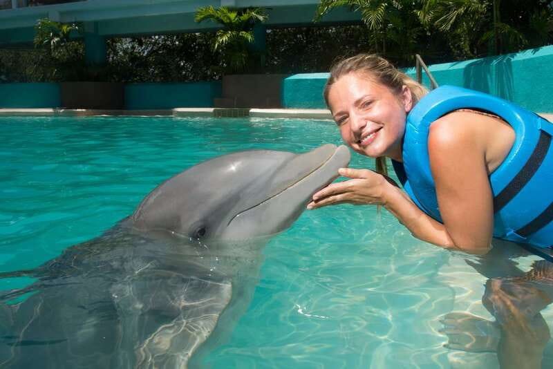 Cancun: Interactive Aquarium - Swim with Dolphins Splash - Meeting the dolphins at Plaza La Isla