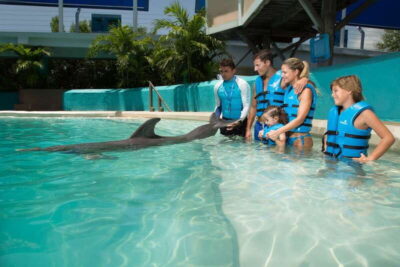 Cancun: Interactive Aquarium – Swim with Dolphins Splash