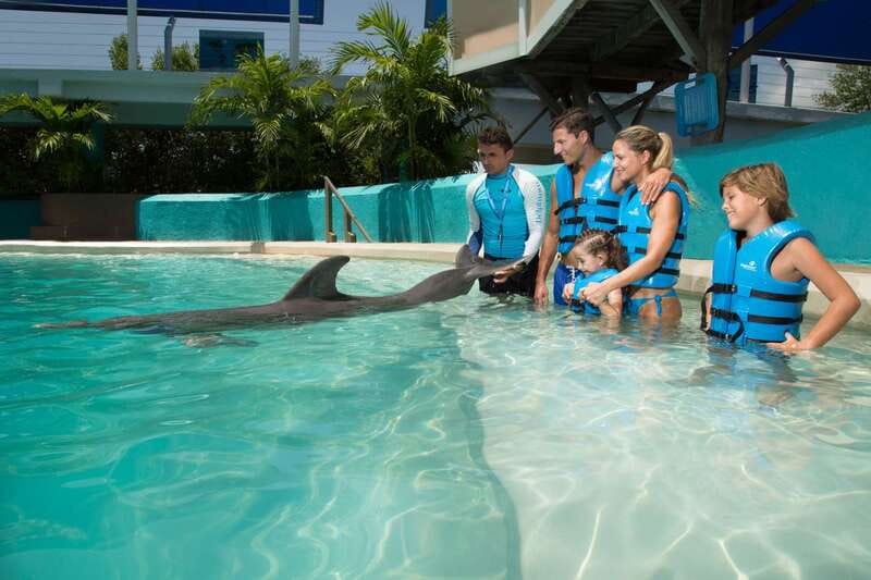Cancun: Interactive Aquarium Ticket and Swim with Dolphins - Quick facts worth knowing