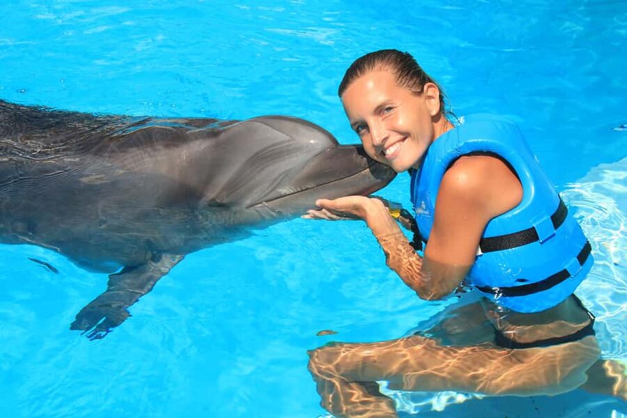 Cancun: Interactive Aquarium Ticket and Swim with Dolphins - What the 45-minute experience actually includes