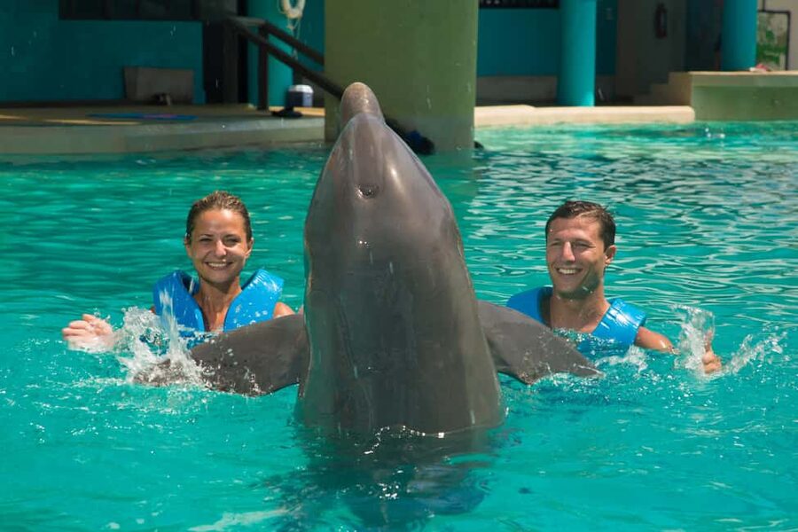 Cancun: Interactive Aquarium Ticket and Swim with Dolphins - Preparing for the water session