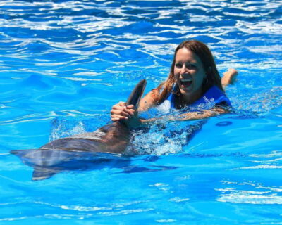 Cancun: Interactive Aquarium Ticket and Swim with Dolphins