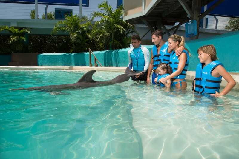Cancun: Interactive Aquarium Ticket and Swim with Dolphins - The first contact: welcome, touch, and basic dolphin facts