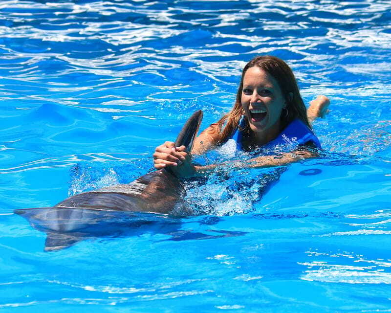 Cancun: Interactive Aquarium Ticket and Swim with Dolphins - Is $138 a fair price?