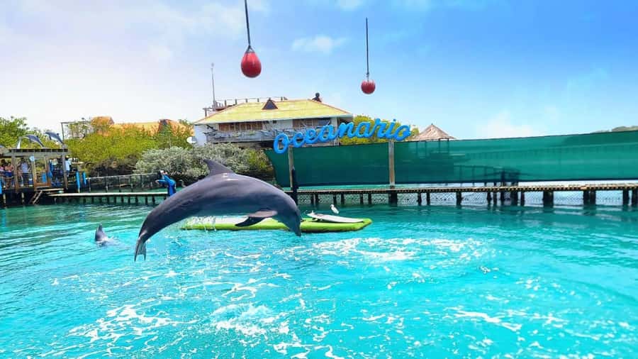 CARTAGENA: 4 islands by sport boat +oceanarium tickets - What this $69 island day really includes