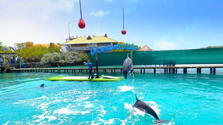 CARTAGENA: 4 islands by sport boat +oceanarium tickets - Cholon means music, swimming, and floating bars