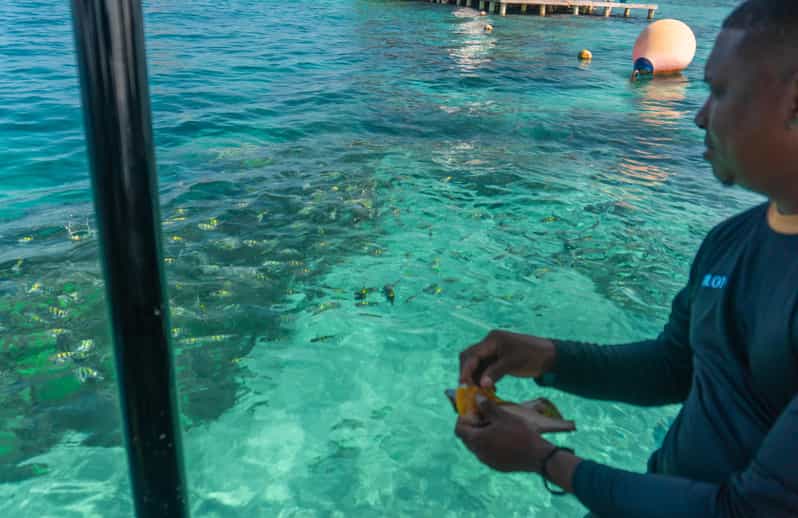 Cartagena: Ecoplan on Barú, Aviary and Oceanarium in one day - Four things to know before booking