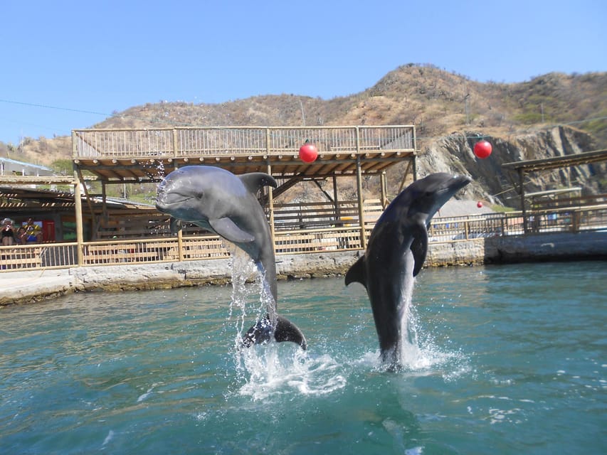 Cartagena: Ecoplan on Barú, Aviary and Oceanarium in one day - The National Aviary is the day’s strongest stop