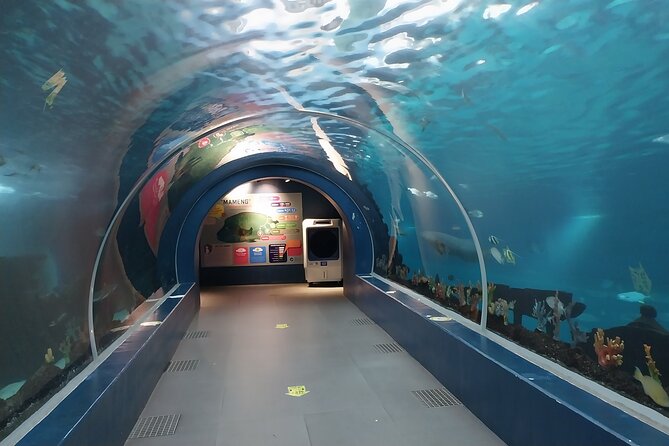Cebu Ocean Park - Cebu Ocean Park at a glance
