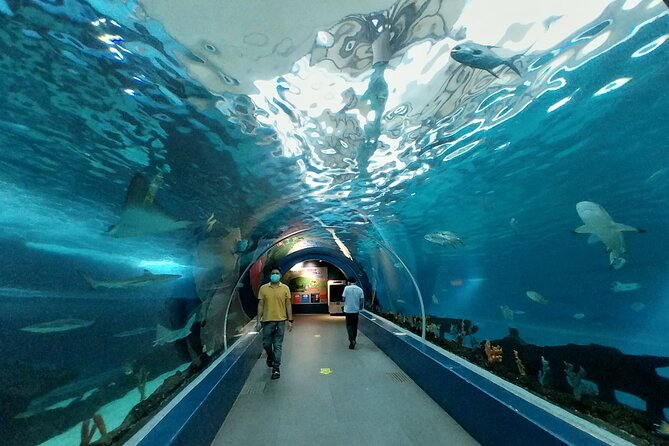 Cebu Ocean Park - What makes Cebu Ocean Park worth your time
