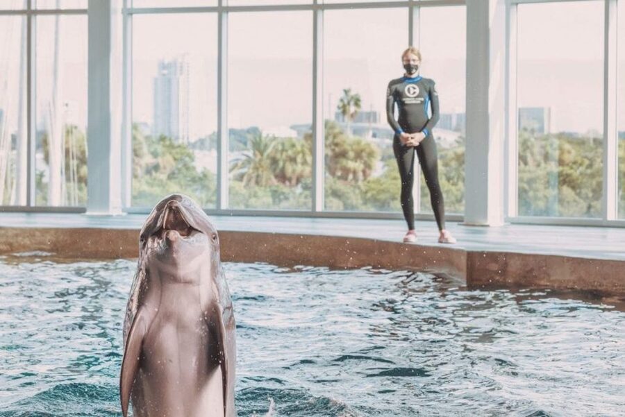 Clearwater: Eco-Certified Marine Aquarium General Admission - The working animal hospital and rehabilitation areas