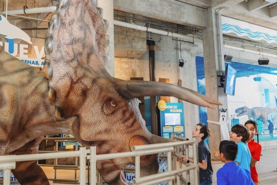 Clearwater: Eco-Certified Marine Aquarium General Admission - Indoor comfort, outdoor views, and weather