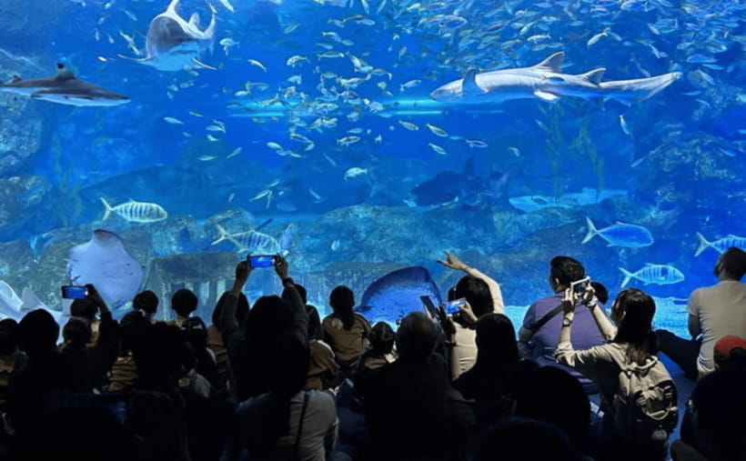 Coex Aquarium Entry Ticket - What COEX Aquarium Offers in Seoul