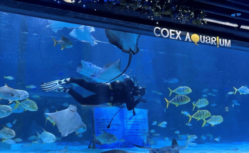 Coex Aquarium Entry Ticket - Rest Areas Make the Visit Easier