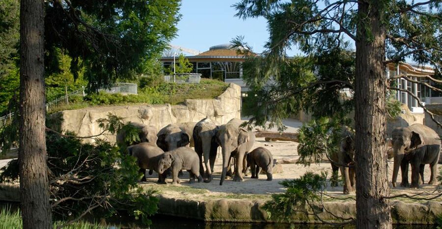 Cologne: Cologne Zoo and Aquarium Entry Ticket - A full day at Cologne Zoo