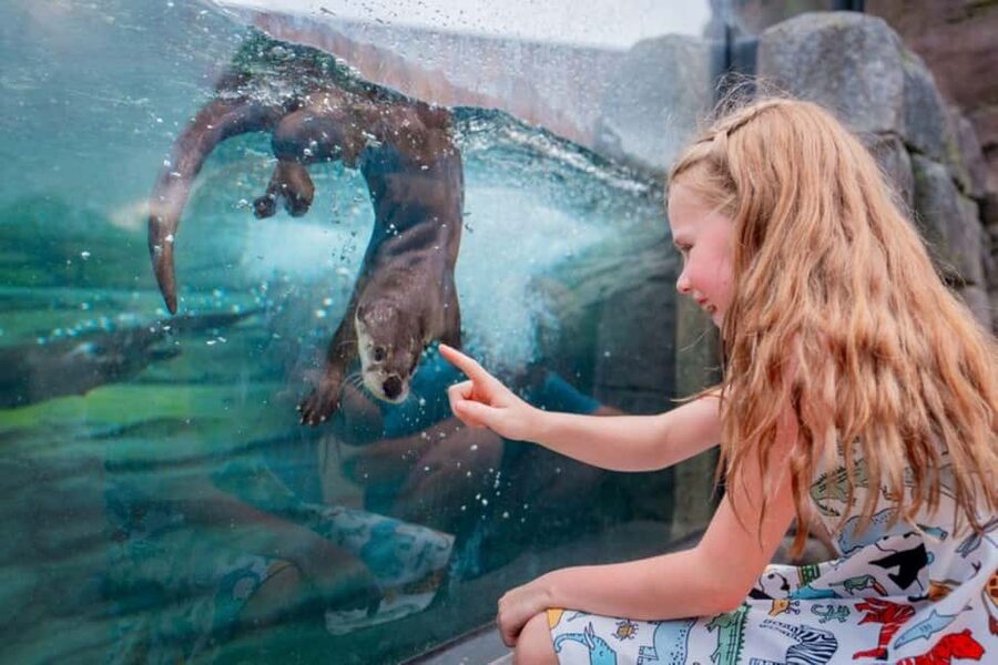 Columbus, OH: Columbus Zoo and Aquarium Entry Ticket - Heart of Africa and the appeal of regional habitats