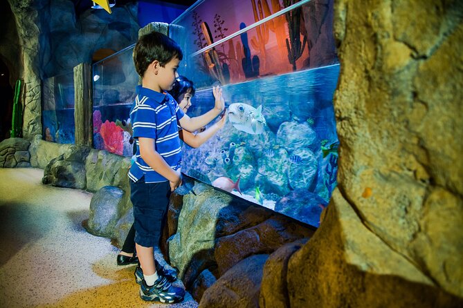 Combi Ticket: LEGOLAND Discovery Centre & SEA LIFE Oberhausen - Two very different indoor attractions in Oberhausen