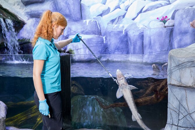 Combi Ticket: LEGOLAND Discovery Centre & SEA LIFE Oberhausen - SEA LIFE Oberhausen: sharks, rays, and a slower pace