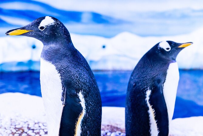 Combo Ticket: Madame Tussauds & SEA LIFE London Aquarium - Two London attractions with very different personalities