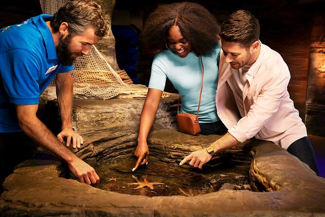 Combo Ticket: Madame Tussauds & SEA LIFE London Aquarium - The biggest risk is the second admission