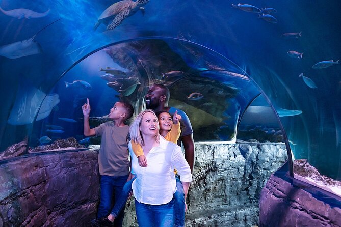 Combo Ticket: Madame Tussauds & SEA LIFE London Aquarium - Who will enjoy this London combo most?