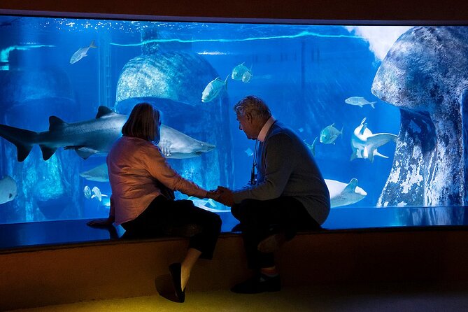 Combo Ticket: Madame Tussauds & SEA LIFE London Aquarium - SEA LIFE London: penguins, coral, and a slower hour