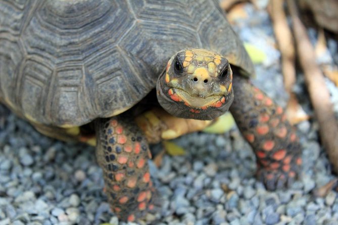 Coral World Ocean Park General Admission Ticket - Presentations and animal encounters