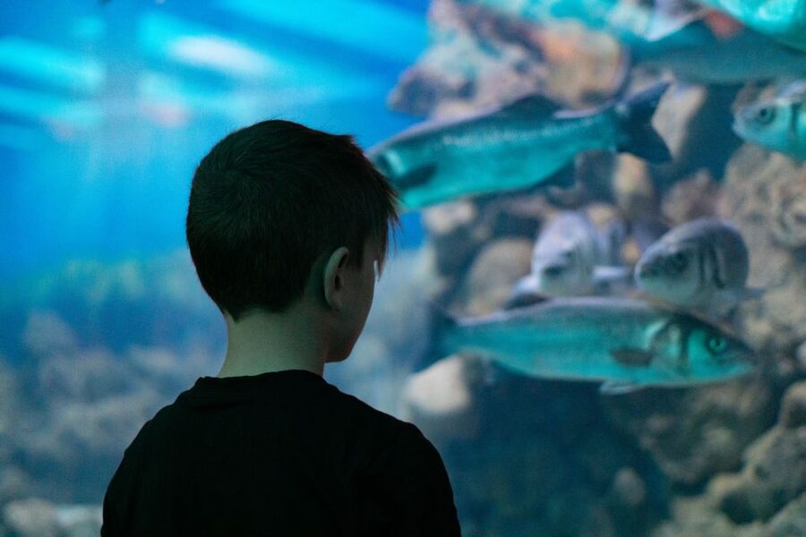 Corfu: Aquarium Entry Ticket with Guided Tour - Key points to know before you go