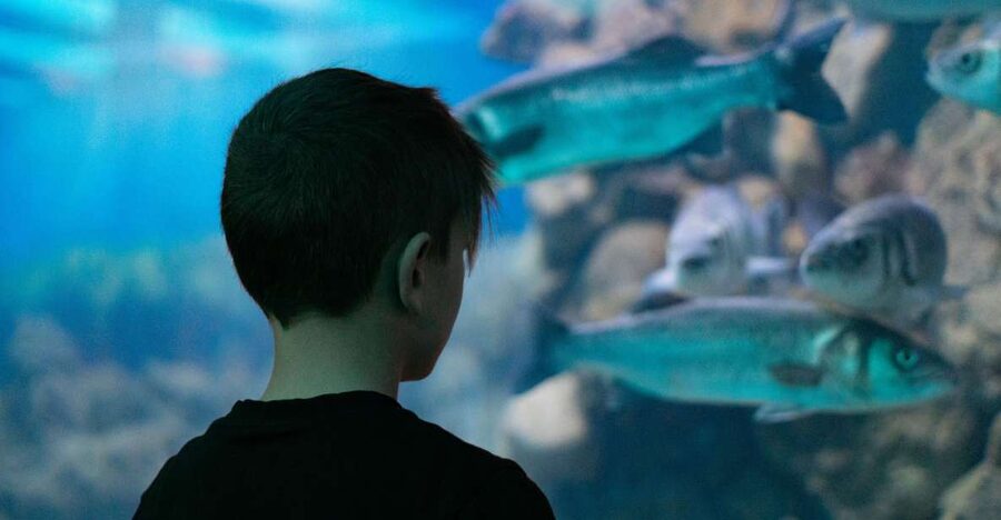Corfu: Aquarium Entry Ticket with Guided Tour - What the Corfu Aquarium visit is really like