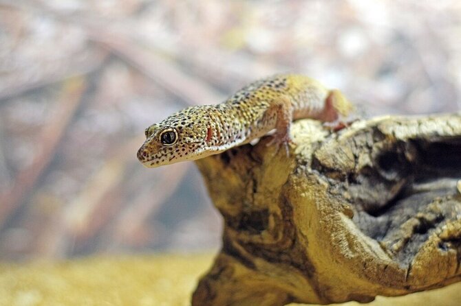 Corfu Aquarium Ticket with Tour Included - Is $12.07 good value?
