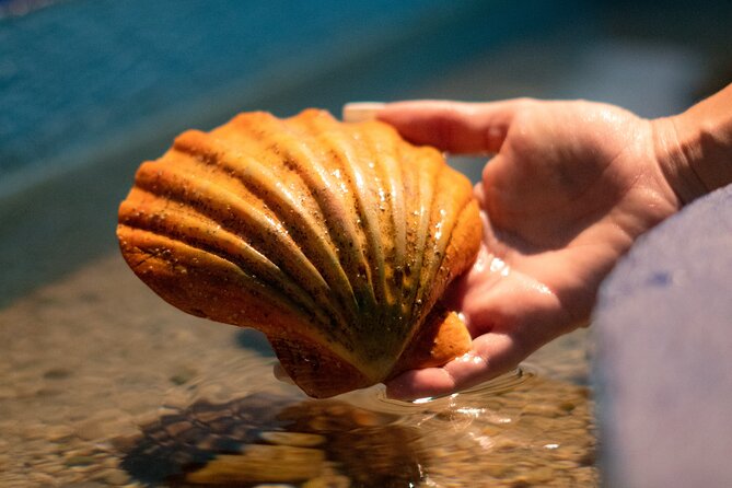 Corfu Aquarium Ticket with Tour Included - Choosing a morning or afternoon time