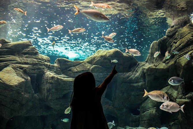 CRETAquarium Entrance Ticket in Crete - Walking Through 60 Mediterranean Tanks