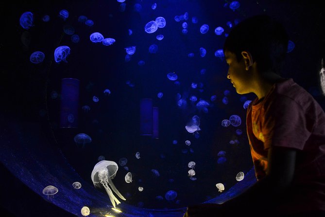 CRETAquarium Entrance Ticket in Crete - How Long to Plan for Your Visit
