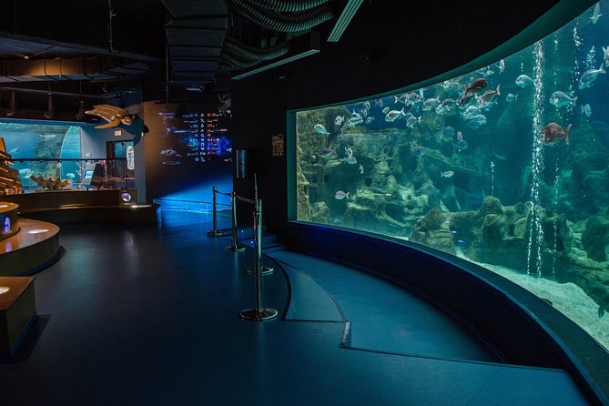 CRETAquarium Entrance Ticket in Crete - Facilities, Families, and Accessibility