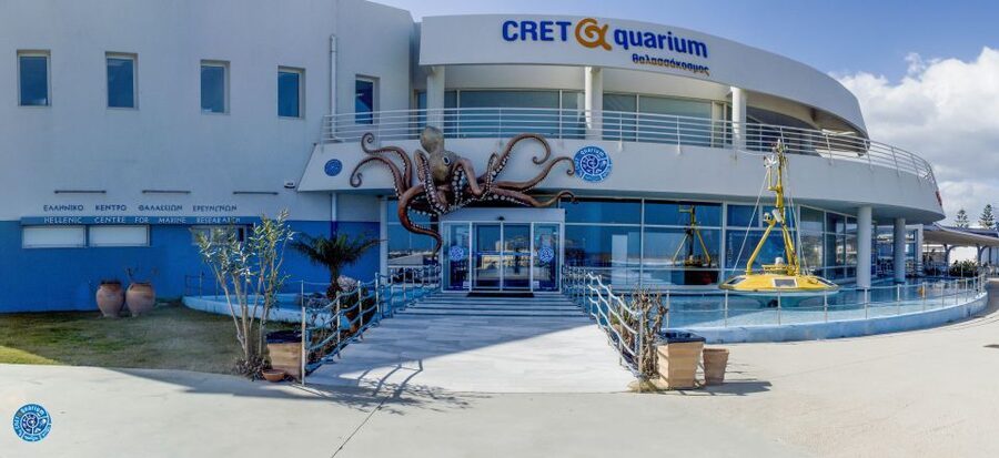 Crete: Heraklion Center, Local Market and Creta Aquarium - Key points to know before booking