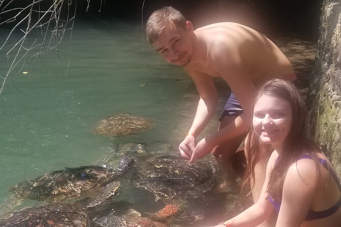 Day Trip Zanzibar: Snorkeling Dolphin Aquarium Turtles and Sunset - What the $140.95 price really covers