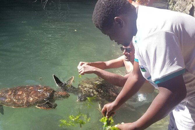 Day Trip Zanzibar: Snorkeling Dolphin Aquarium Turtles and Sunset - Private touring and the human side of the day