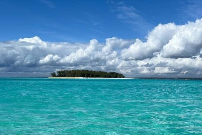 Day Trip Zanzibar: Snorkeling Dolphin Aquarium Turtles and Sunset - Who will enjoy this Zanzibar excursion most