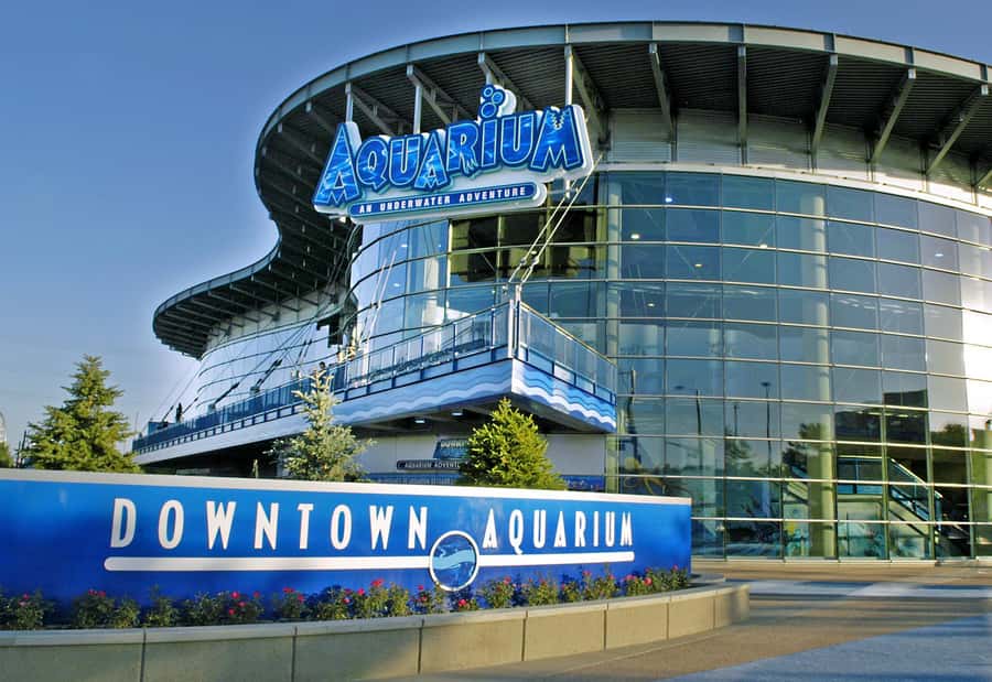 Denver: Downtown Aquarium All-Day Pass - Stingray Reef is the hands-on highlight