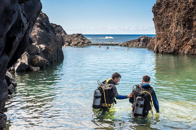 Diving in the Madeira Aquarium - Why this Porto Moniz aquarium visit is different