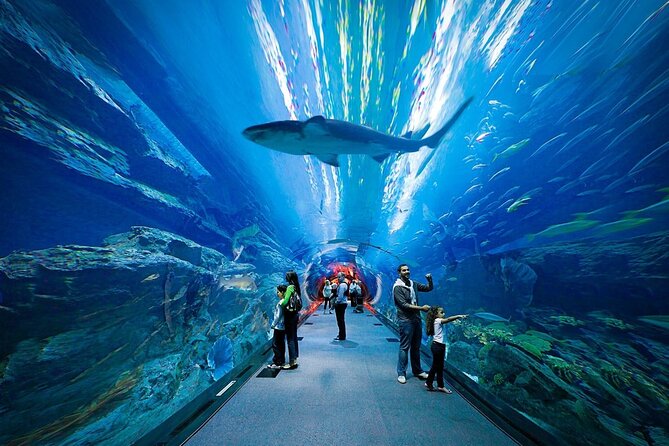 Dubai Aquarium and Underwater Zoo - King Croc and the animal encounters