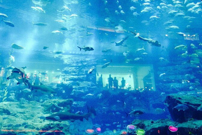 Dubai Aquarium and Underwater Zoo - Does skip-the-line admission work?