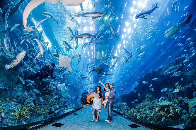 Dubai Aquarium and Underwater Zoo - Is $60.82 a fair price?