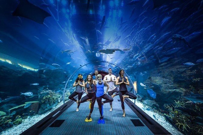 Dubai Aquarium and Underwater Zoo Admission Ticket with Options - What you actually see inside Dubai Mall