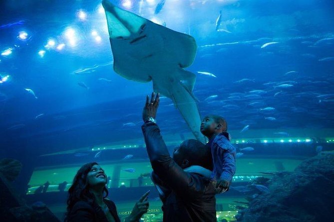 Dubai Aquarium and Underwater Zoo Admission Ticket with Options - The Underwater Zoo and the King Croc encounter
