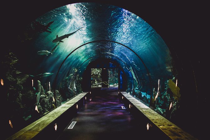 Dubai Aquarium and Underwater Zoo Admission Ticket with Options - Who will enjoy this most