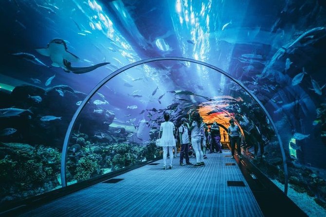 Dubai Aquarium and Underwater Zoo Admission Ticket with Options - Should you book Dubai Aquarium and Underwater Zoo?