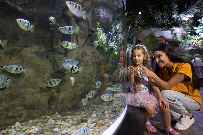 Dubai Aquarium and Underwater Zoo Entrance Ticket - Meeting the giant crocodile