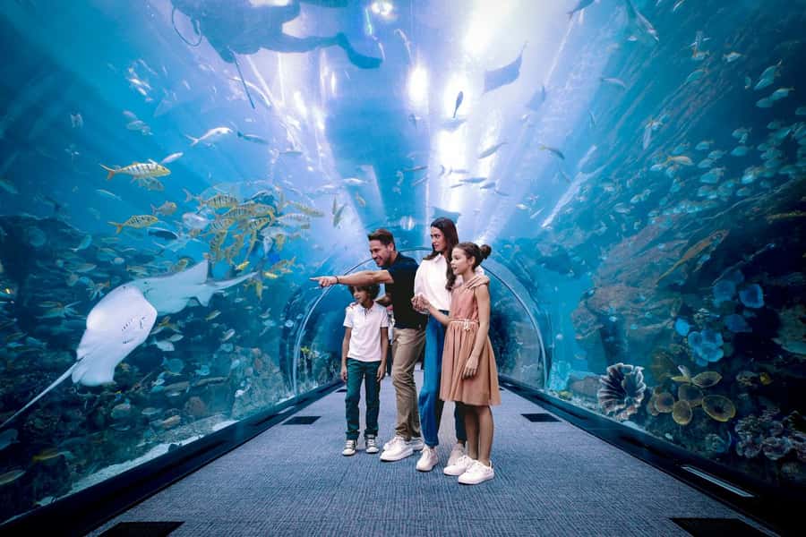 Dubai: Aquarium and Underwater Zoo Experience - Key points before you book