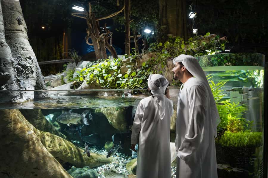Dubai: Aquarium and Underwater Zoo Experience - Three ecological zones in the Underwater Zoo